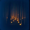 Wands, Spells, and Magic