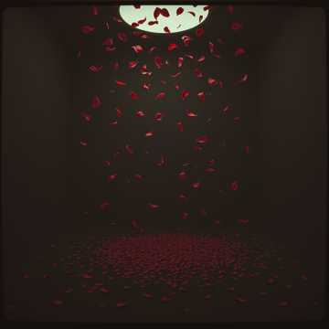 桜、散る ( 樱花，凋零)