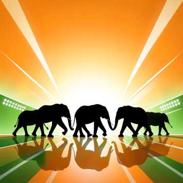 🎵 "Les 26 Éléphants