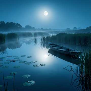 image for Still Waters (Still Waters) (5)