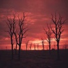 Scorched Earth