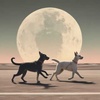 Dogspeed in the moonlight race