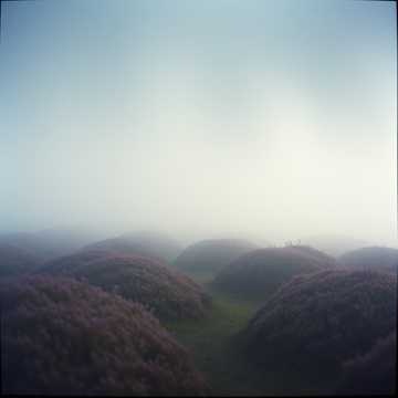 Image for Scottishy