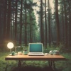 Work Lo Fi