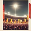 Eintracht Fever
