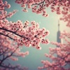 この地球の続きを
