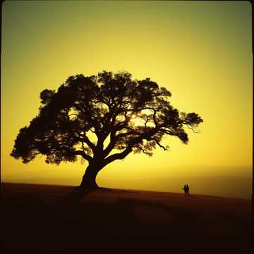 image for Eternal Watch (14)