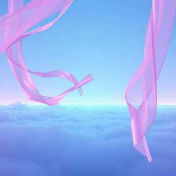 image for Soft Motion (13)