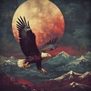The Pride of the Eagle