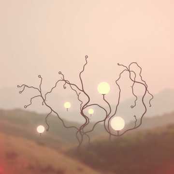 The Power & The Life