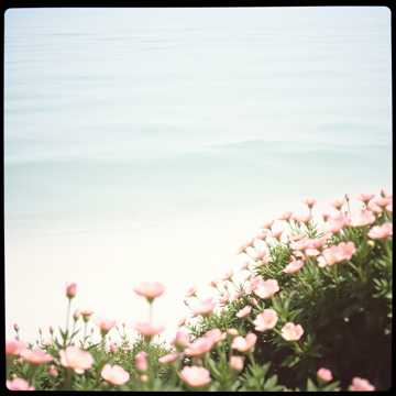 Today and Forever, I Do