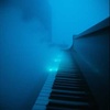 Whispers In the Night