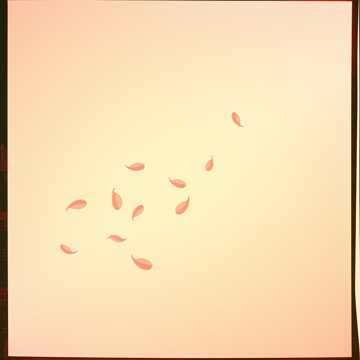 A Love That Blooms, But Cannot Thrive