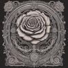 Cover image for Unsainted