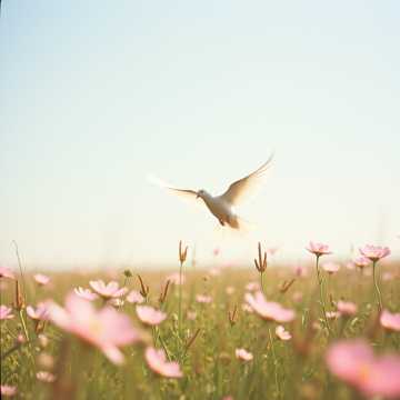 image for I AM Free (12)