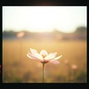 The One Who Teaches from Within