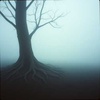 duistere omhelzing/ étreinte sombre/dark embrace