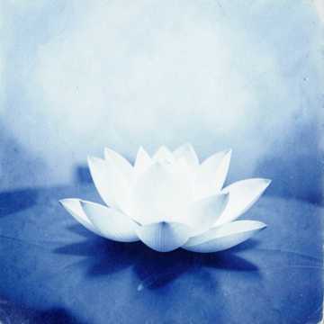 Hơi Thở An Nhiên