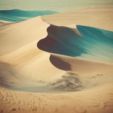 Image for Ocean and Desert