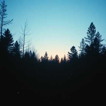 image for Whispers of Valor