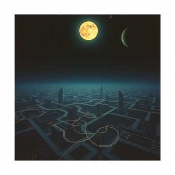 The Misunderstood Dreamer