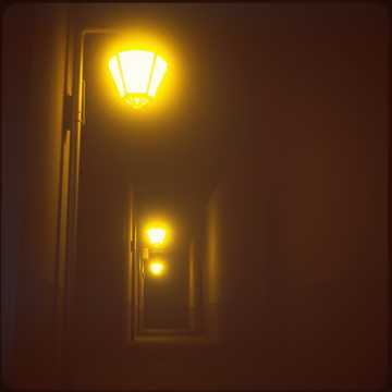 image for Everybody Got Somebody But Me (3)