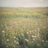 Sound of the Threads