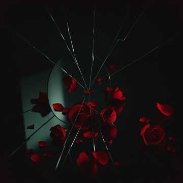 Didn’t Need To Know