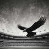 Cover image for Beşiktaş Aşkı