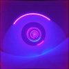 Melodic Techno / EDM / Trance / Techno / House / Electro Fusion