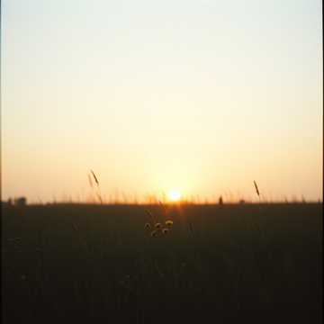 When I Wasn’t Looking