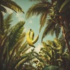 Banana Revolución