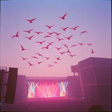 Song Image