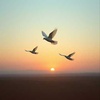 Well-Being of the World