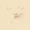 Love is like a bird