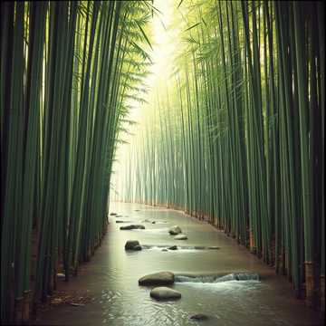 image for To the Core (1)