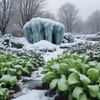 Icebergs Sunk My Lettuce