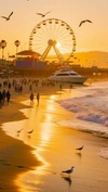 LA Beach