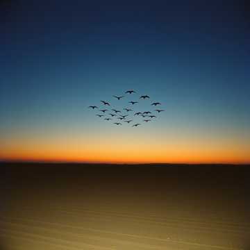 Журавлиний Ключ Життя