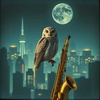 The Owl City Paradise