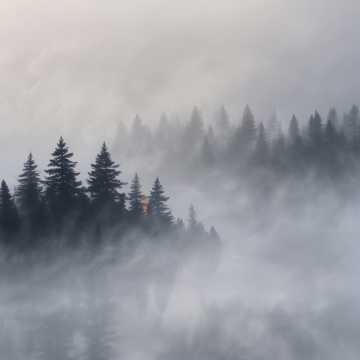 Image for 創造の舞/光の舞台