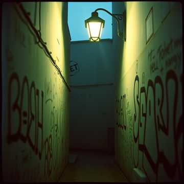 image for Everybody Got Somebody But Me (6)