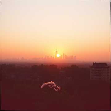 image for Your Best Shot Still Missed (9)