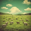 Cover image for Grassy (TPOT) Song