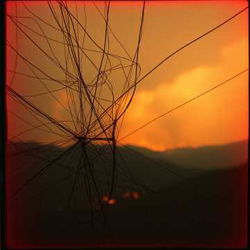 Tangled Up in Her Chaos