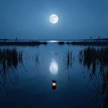 image for Still Waters (Still Waters) (2)