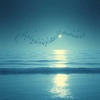 Cover image for Moonlit Whispers