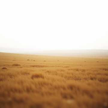 image for Echoes of the Front (9)