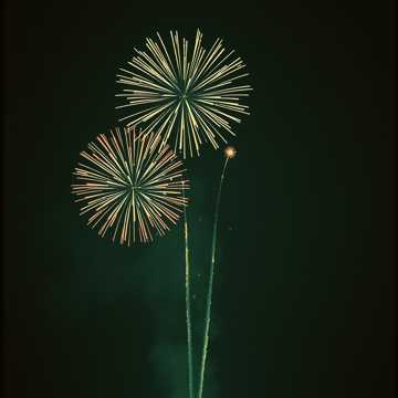 Psychological Warfare