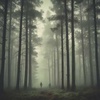 Der Verlorene Wald